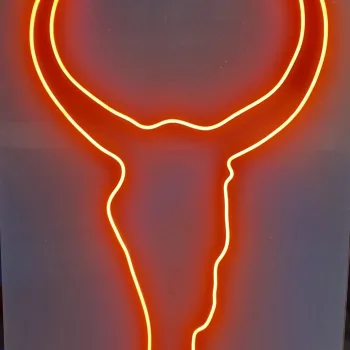 1web cabeza 1 Rótulos luminosos Córdoba