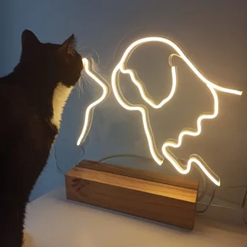 1web gato 1 Rótulos luminosos Córdoba