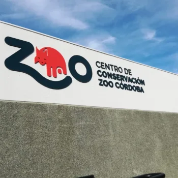 1web xzoo Fabricación de rótulos Córdoba